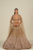 SITARA OMBRE LEHENGA