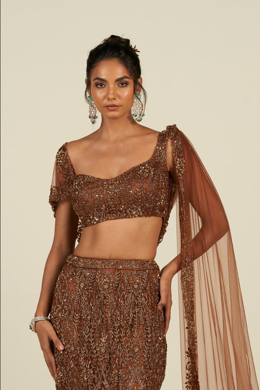 RUST BROWN SAREE