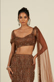 RUST BROWN SAREE