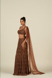 RUST BROWN SAREE