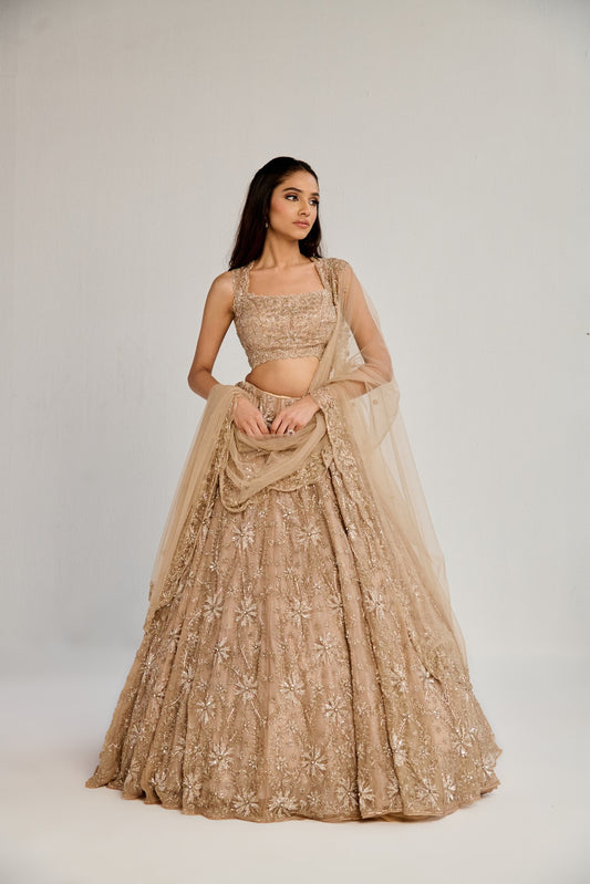DIONA LEHENGA