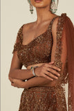 RUST BROWN SAREE