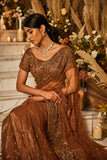 brown saree