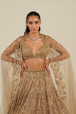 SITARA OMBRE LEHENGA